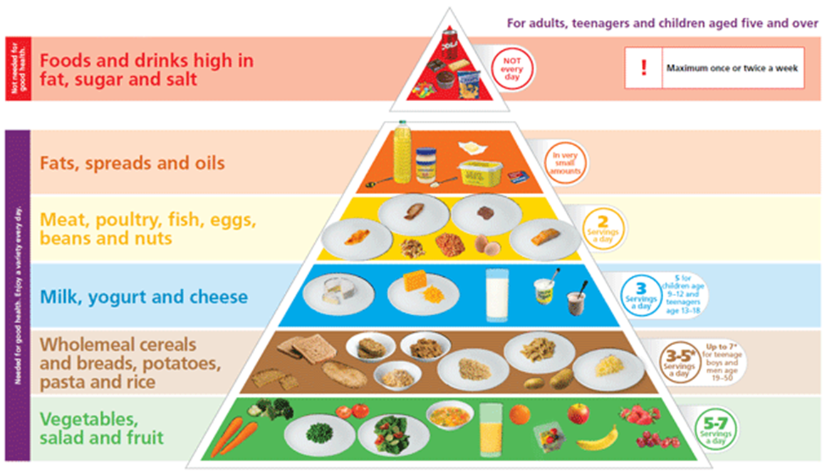 Nutrition – What are the Nutritional Needs?